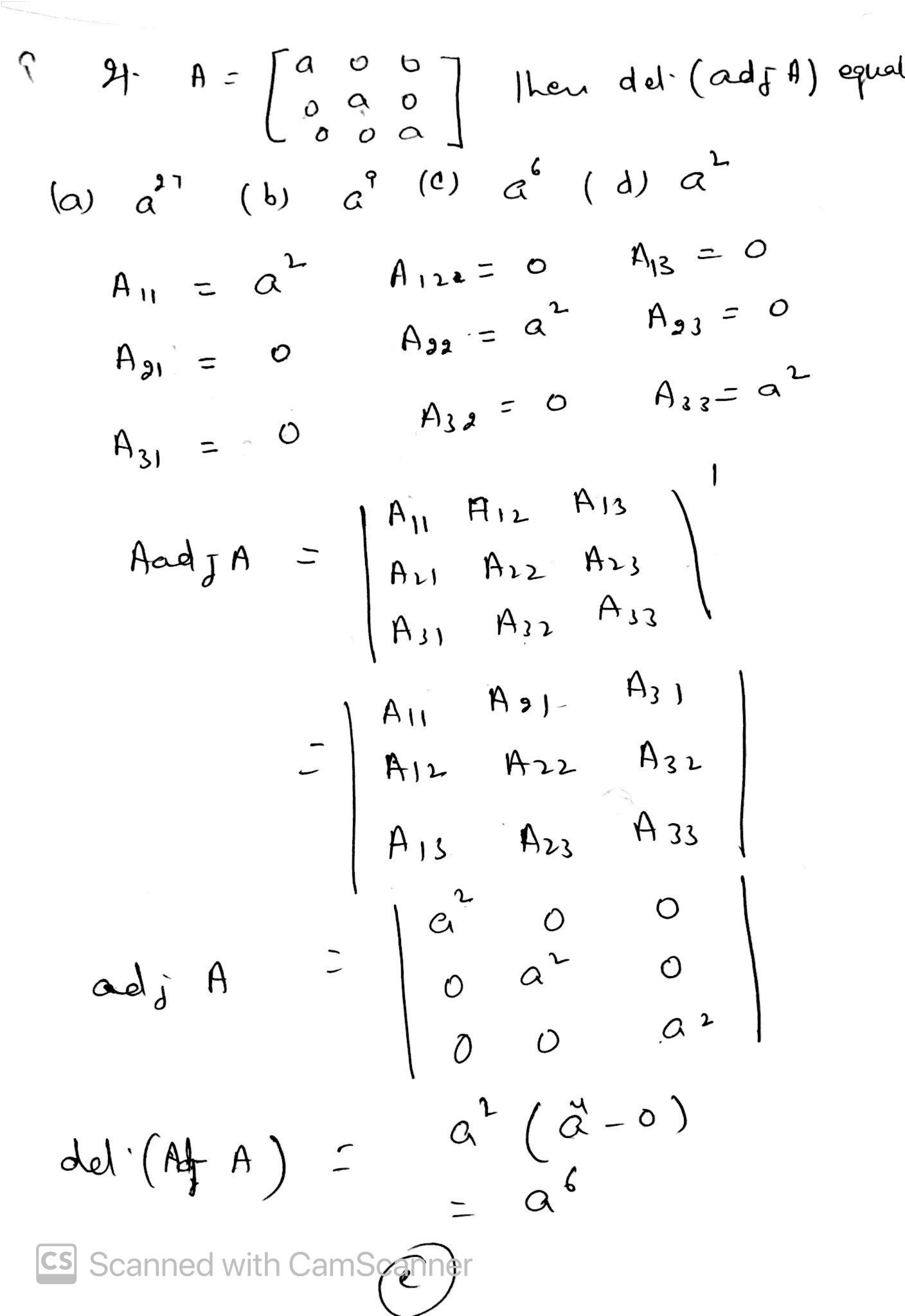 cbse class 12 maths solutions