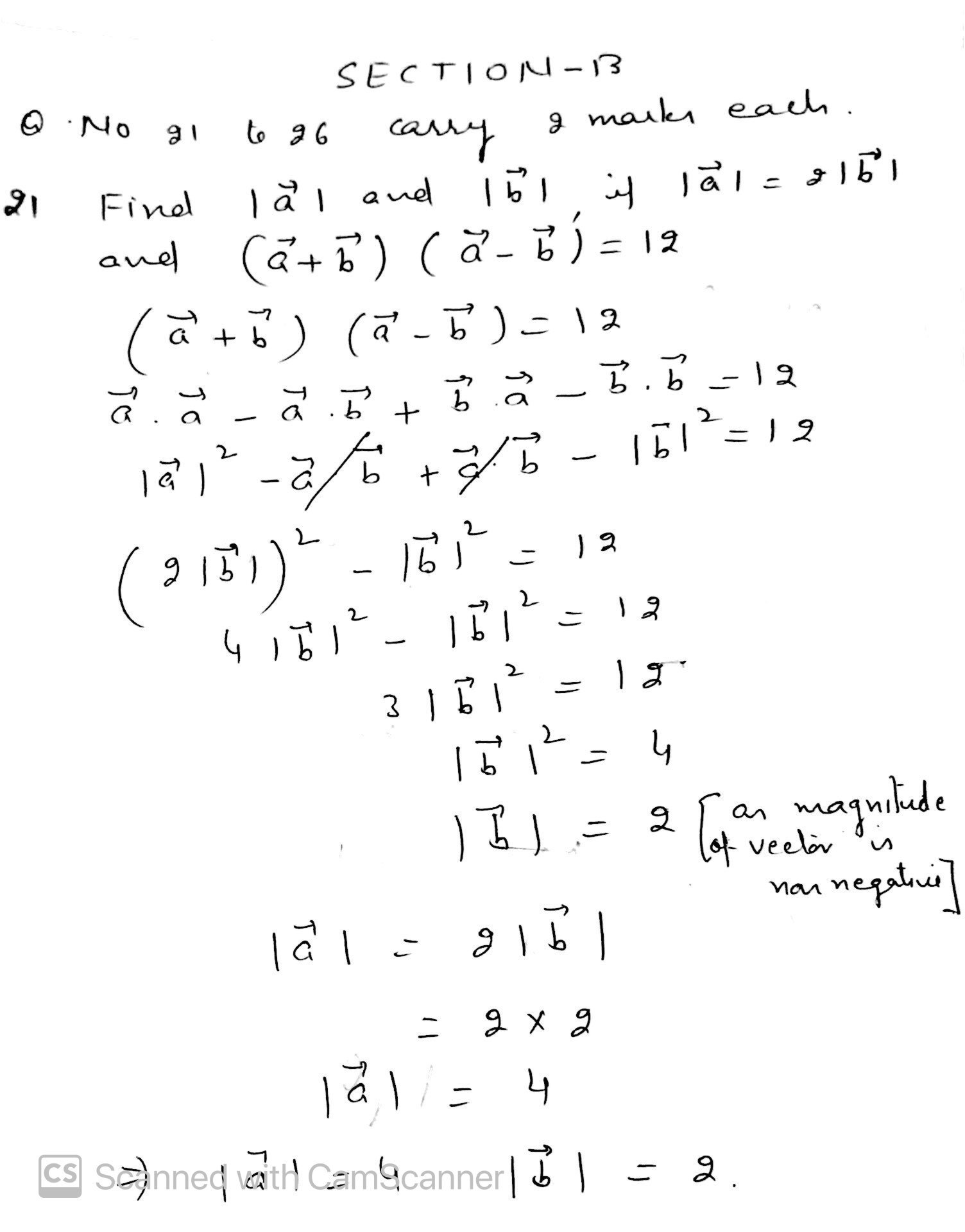 cbse class 12 maths solutions